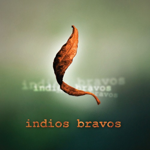 Indios Bravos